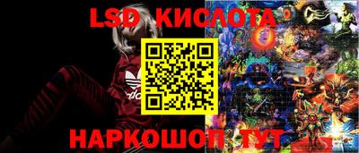 ПСИЛОЦИБИНОВЫЕ ГРИБЫ Гусев