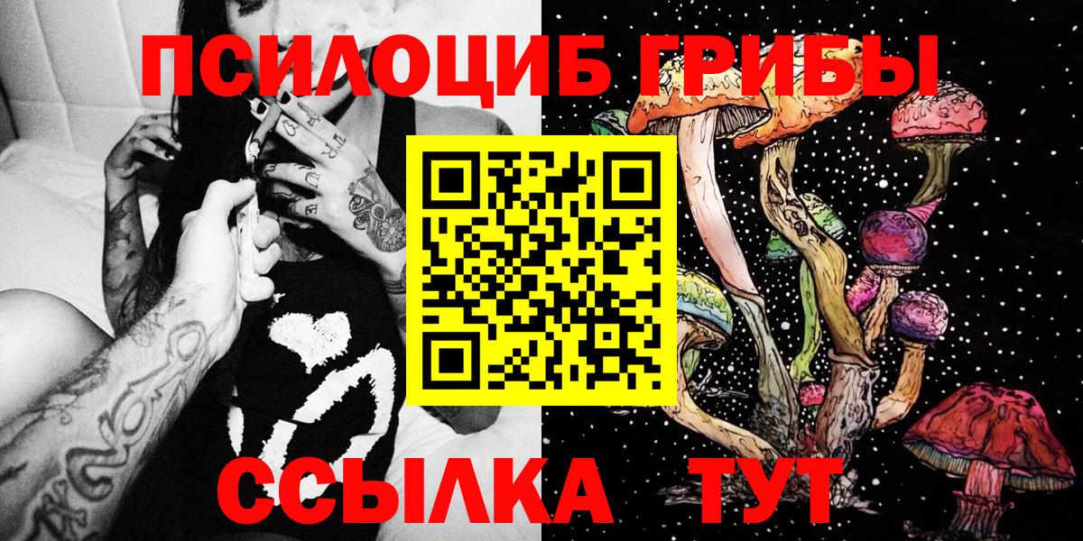 Галлюциногенные грибы мицелий  Галлюциногенные грибы Psilocybe  Вход с VPN  Новоалтайск 